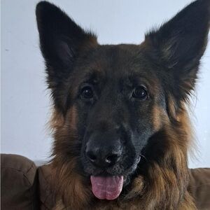 Meet your Posher, Tu